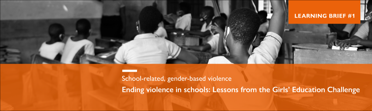 New report: Ending violence in schools